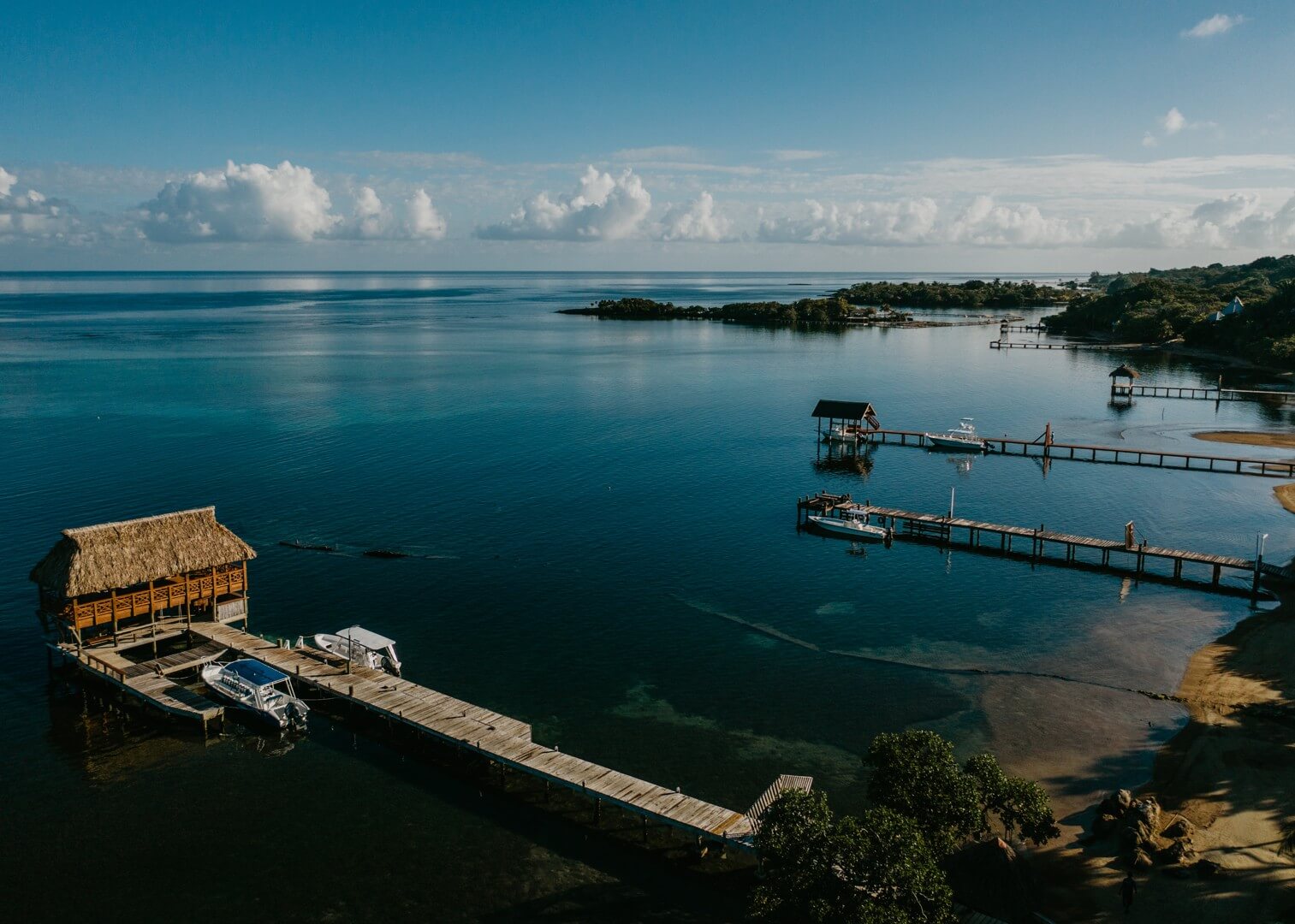 Top Caribbean Dive Resort of 2024